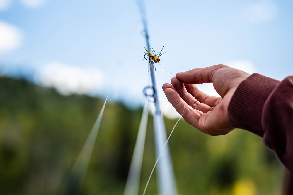 Half-Day Float · Fly on the Spring River