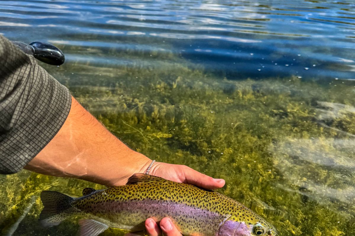 A wide bend on the Spring River